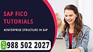 Sap Fico Tutorials || Enterprise Structure In Sap (SVR Technologies)