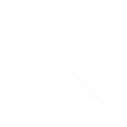 SEO Services In India : SEM Consultant & Services India