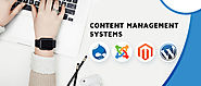 A Detailed Guide On Content Management Systems (CMS)