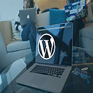 Best WordPress Team Members Plugins