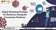 Digital Marketing Strategies for Businesses during the Coronavirus Pandemic