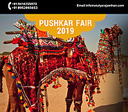 Grandeurof Pushkar Mela2019 | Highlights of Pushkar fair 2019