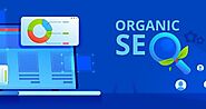How Is Content Important In Organic SEO?