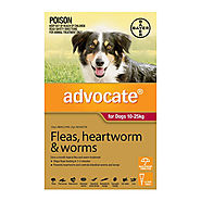 Buy Advocate for Dogs For Large Dogs 10 to 25 Kg (Red) Online - $24.99