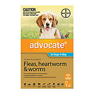 Buy Advocate for Dogs For Medium Dogs 4 to 10 Kg (Aqua) Online - $24.99