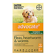 Buy Advocate for Dogs For Small Dogs/Pups up to 4 kg (Green) Online - $39.74