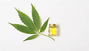 How CBD Oil Can Benefit Your Hair - Sensod - Create. Connect. Brand.