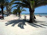Rolling Tales: Ancona Coast, Italy