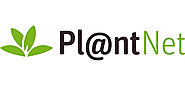 PlantNet Identificación Planta - Aplicaciones en Google Play