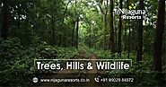 Wildlife Resorts in Karnataka