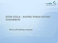 Stem Cells – Saving Today Saving Tomorrow