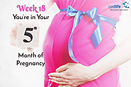 Week 18 – You’re in Your Fifth Month of Pregnancy