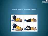 Pelvic Floor Muscles and its Exercises for Pregnancy