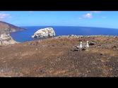 Ascension Island Conservation