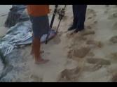Ascension Island Fishing