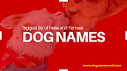 Boy and Girl Dog Names (Best Names for Male and Female Dogs)
