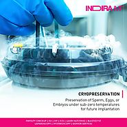 Cryopreservation And Its Process - Indira IVF