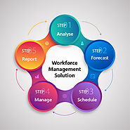 Workforce Management Solution Agency in Guyana