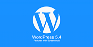 WordPress 5.4 - Upcoming Features & Improvements with Screenshots