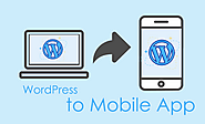 The Best Plugins to Convert WordPress Site to Mobile App in 2020