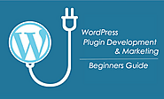 WordPress Plugin Development & Marketing – Crucial Things to Consider
