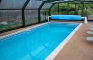 Top 5 Most Popular Shapes of Swimming Pools