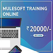 Mulesoft Course Overview