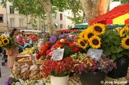 Provence Market - Farmer markets - Weekly markets in Provence