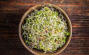 Reasons to Include Sprouts in Your Diet