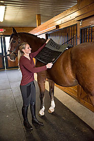 Saddle Pads and Saddle Accessories