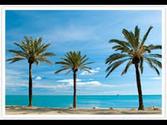 The beautiful beach of Málaga, Spain