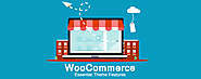 11 Essential Features in a WooCommerce Theme - iPraxa