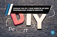 Should You DIY Your Website or Seek Professional Website Services? - Local SEO Search Inc.