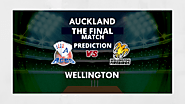 Wellington vs Auckland, The Final Match Prediction