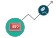 Lead your Website with SEO- PPC Combo Campaign