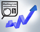 Capitalize on Marketing Returns with Targeted Mailing Lists - Blue Mail Media