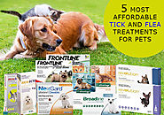 Black Friday Special: 5 Most Affordable Tick and Flea Treatments for Pets!