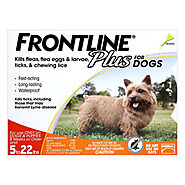 Buy Frontline Plus Small Dogs up to 22lbs (Orange)