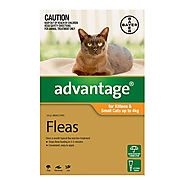 Buy Advantage For Kittens & Small Cats Up To 4Kg (Orange) Online