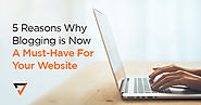 5 Reasons Why Blogging is Now A Must-Have For Your Website | Verz Design