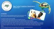 Sea Turtle Protection Association