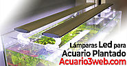 Pantallas Led para Acuario Plantado ჱ 2020 |▷ Acuario3web
