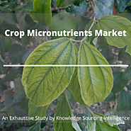 Extensive Study on Crop Micronutrients Market
