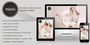 Most Popular Magento Theme of 2013 ~ ecommerce Themes