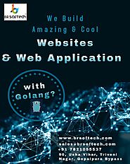 How to Build a Web Application with Golang? - DEV Community 👩‍💻👨‍💻