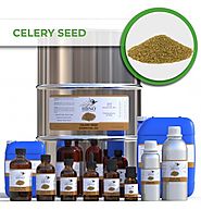 Buy Now! Celery Seed Essential Oil in bulk from Essential Natural Oils