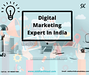 Hire Best Digital Marketing Expert in Delhi India