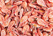 Buy Whole Atlantic Prawns Shell 1kg Online at the Best Price, Free UK Delivery - Bradley's Fish