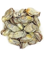 Buy Oyster 1kg Online at the Best Price, Free UK Delivery - Bradley's Fish