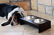 Best Raised Dog Bowls Reviews 2015 Powered by RebelMouse